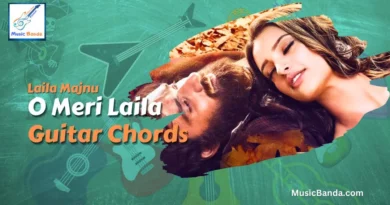 O Meri Laila Chords