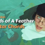 Birds of A Feather Chords