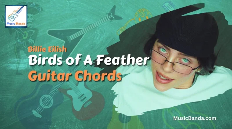 Birds of A Feather Chords