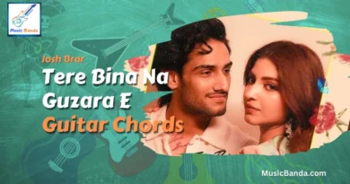 Tere Bina Na Guzara E Chords - Josh Brar