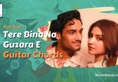 Tere Bina Na Guzara E Chords - Josh Brar